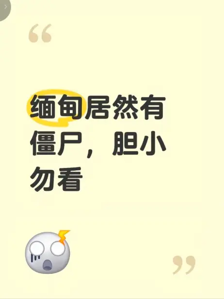 《缅甸僵尸出土事件》高清无删减在线观看 - 全网资源下载 - 揭秘缅北神秘事件真相完整版