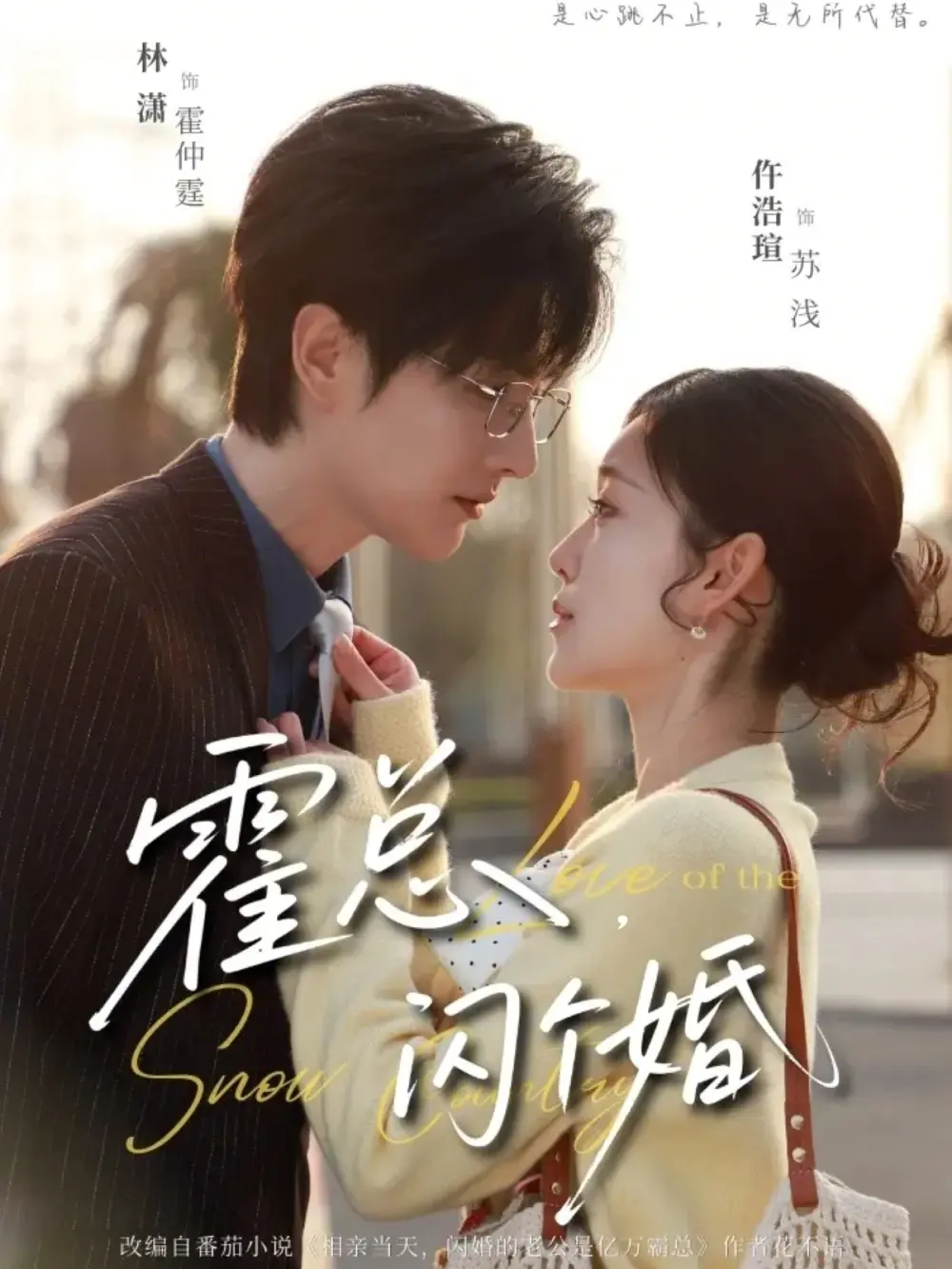《霍总，闪个婚》全86集完整版-《霍总，闪个婚》短剧高清在线观看-林潇仵浩碹主演免费播放-无删减全集网盘下载