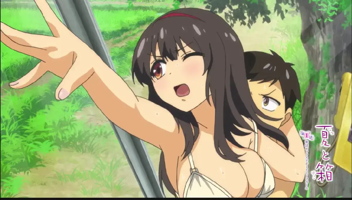 《夏与箱》动漫全集高清在线观看 - 夏与箱1080P无删减播放 - 免费无广告观看完整资源