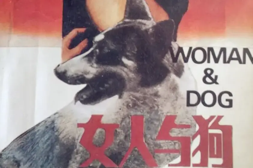 《女人与狗》HD 1080P蓝光高清在线播放-欧美剧情片女人与狗全集完整版免费观看-无删减流畅观影