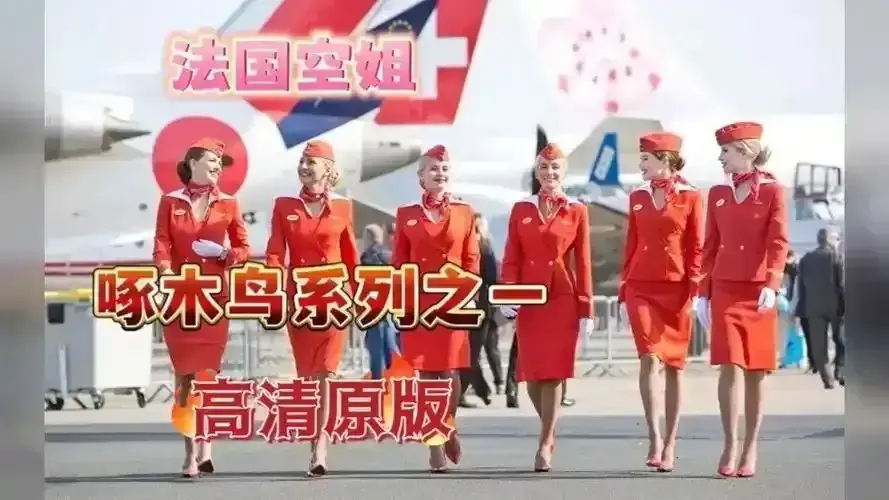 《法国空姐2019/不雅空乘》完整版HD在线观看-《法国空姐》无广告免费播放1080P-未删减高清中字资源