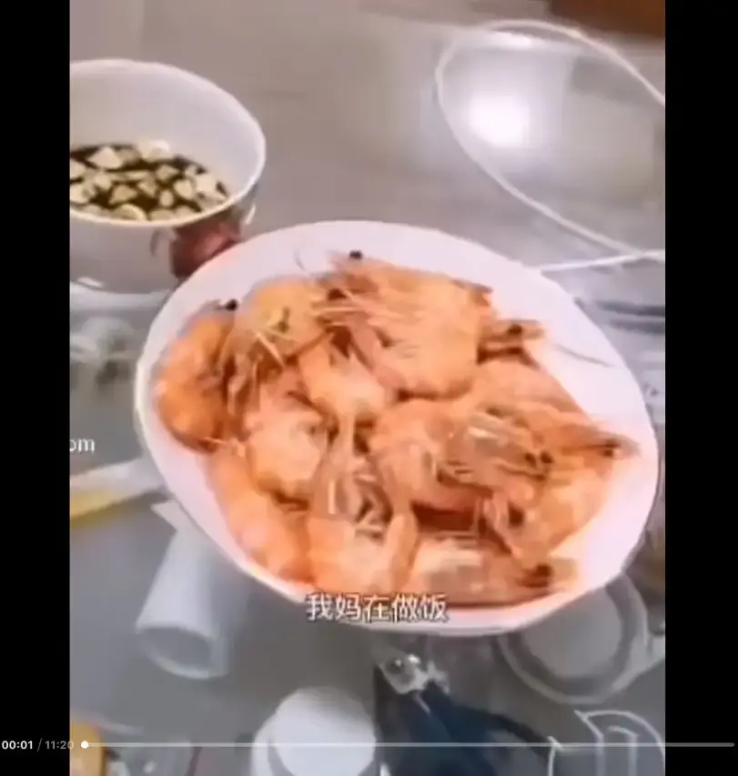 《大虾母子厨房完整版》高清视频在线观看 猎奇视频资源免费播放 全网同步更新