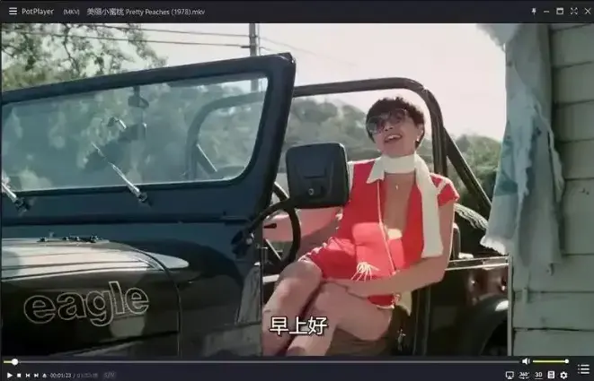 《美丽小蜜桃》高清完整版免费观看-1978年美国喜剧片无广告在线看-《美丽小蜜桃》未删减中字资源