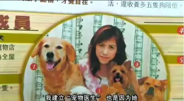《女人与狗》1080P超清画质免费看-欧美剧情片女人与狗HD高清无删减播放-手机电脑在线观看流畅