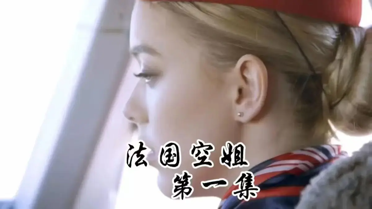 《法国空姐1-3》全三集HD中字在线看-法国空姐电影1-3部完整版-高清无广告免费播放
