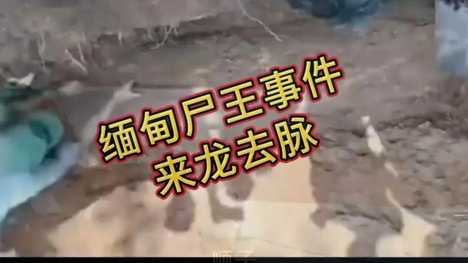 《缅甸僵尸出土事件视频》完整版资源下载 - 诡异真相解密在线观看免费播放 爆火视频高清无删减全程录像